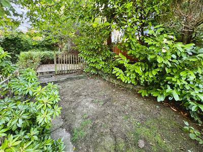 Picture 25